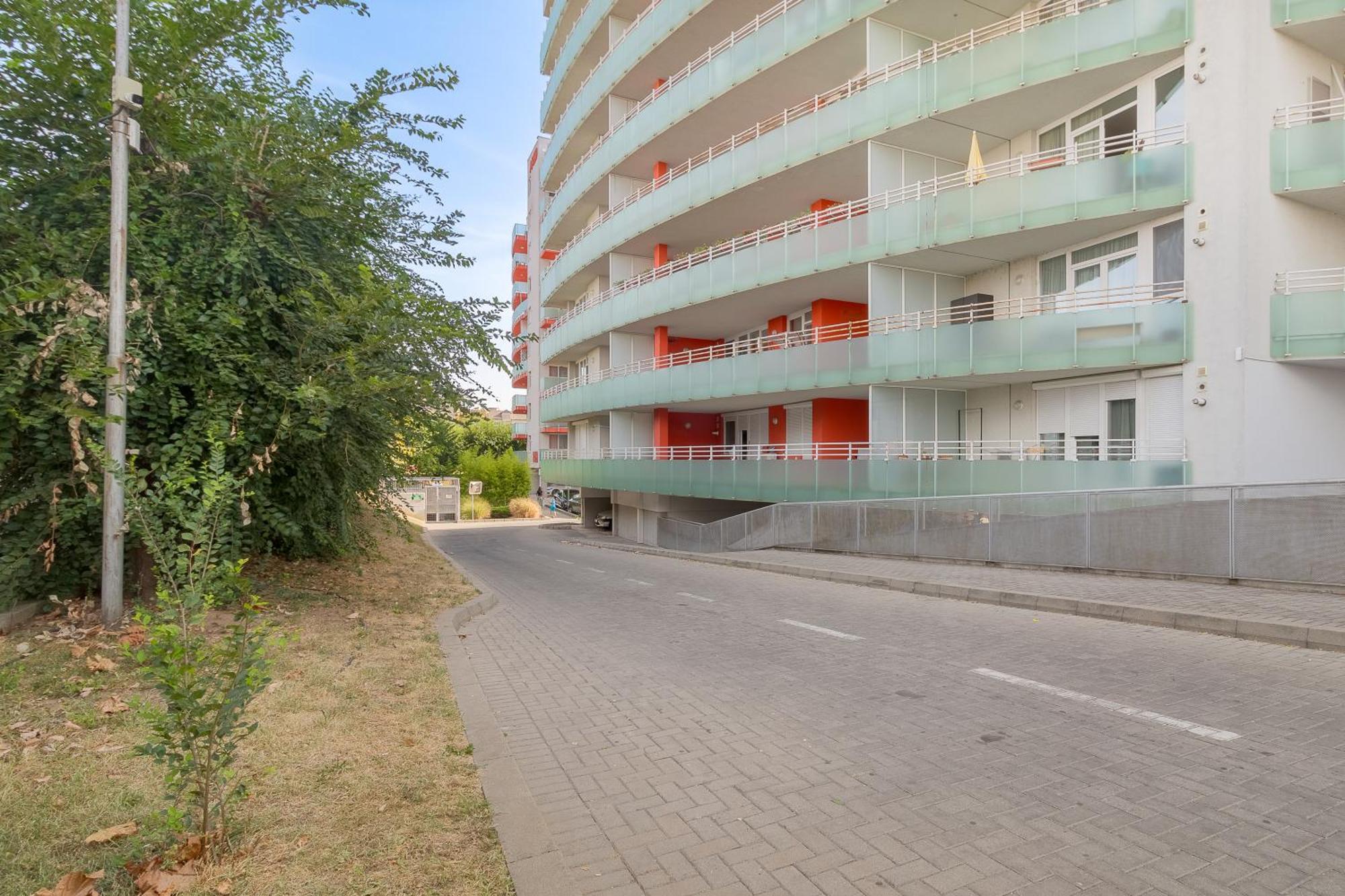 Oasis * Oradea